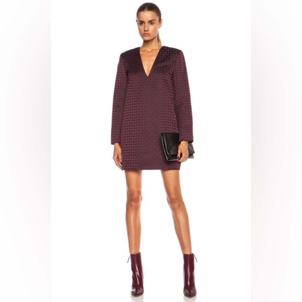Alexander wang rare purple Long Sleeve silk Dress